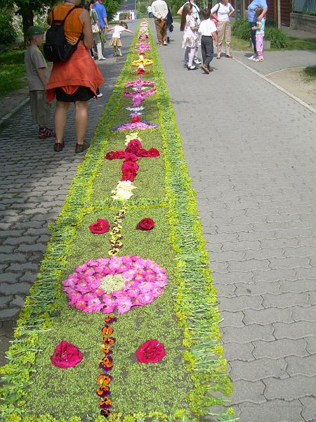 DSCN4193.JPG